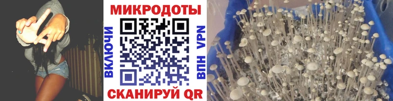 Галлюциногенные грибы Cubensis  где купить наркоту  мега сайт  Гурьевск 